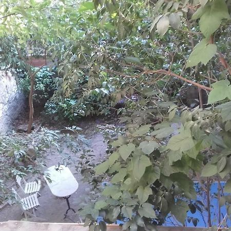 ناربون Appartement Centre Vue Jardin المظهر الخارجي الصورة