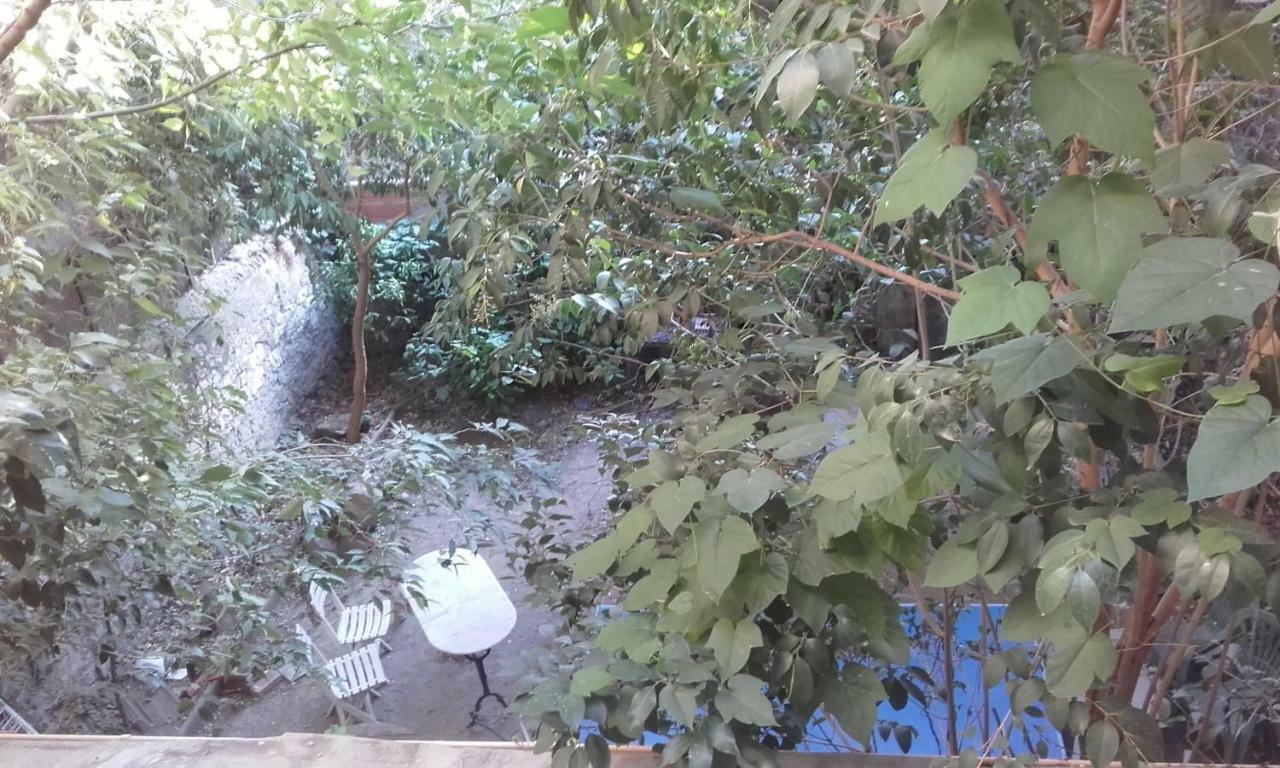 ناربون Appartement Centre Vue Jardin المظهر الخارجي الصورة